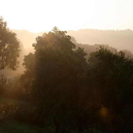 Eifel Rebeige Gerolstein Διαμέρισμα Kopp Εξωτερικό φωτογραφία
