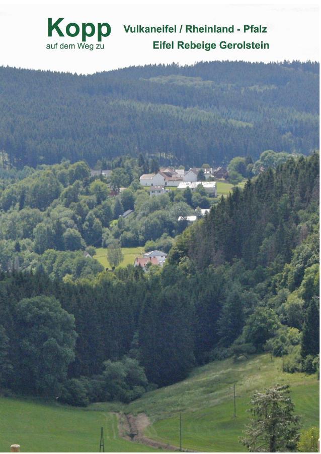 Eifel Rebeige Gerolstein Διαμέρισμα Kopp Εξωτερικό φωτογραφία